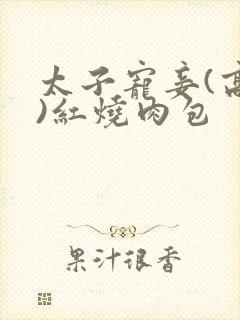 太子宠妾(高肉)红烧肉包封面