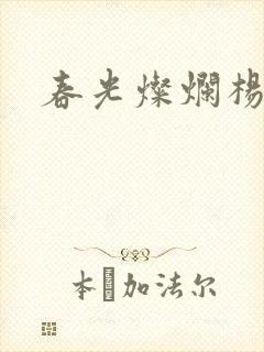 春光灿烂杨家将