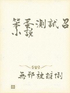 笨蛋测试召唤兽小说