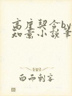 高度契合by洛知意小说笔趣阁无弹窗