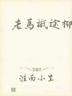 老马识途柳娇娇