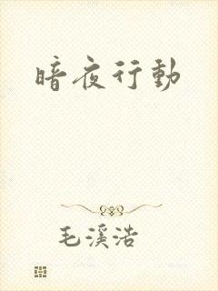 暗夜行动