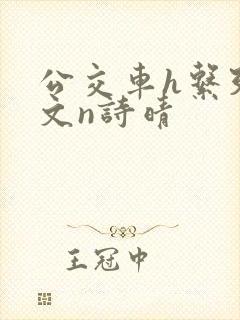 公交车h系列辣文n诗晴