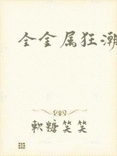 全金属狂潮小说