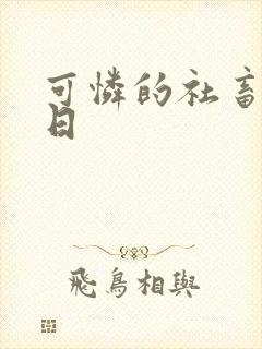 可怜的社畜东度日