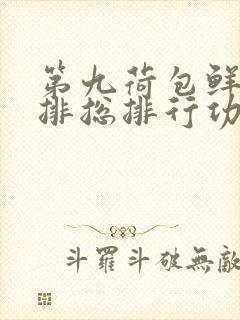 第九荷包鲜辣肉排总排行功能介绍