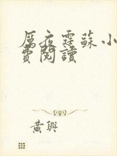 厉夜霆苏小汐免费阅读