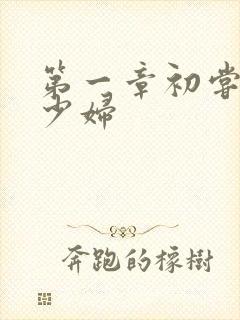 第一章初尝极品少妇