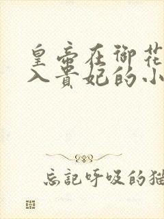 皇帝在御花园进入贵妃的小说