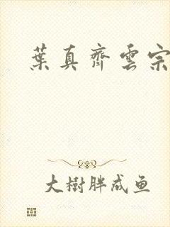 叶真齐云宗免费