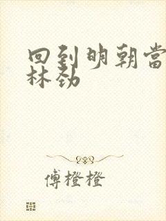 回到明朝当王爷林劲