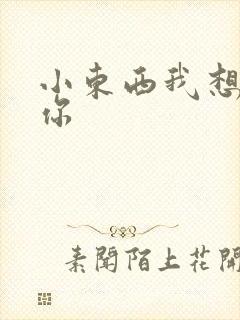 小东西我想弄坏你