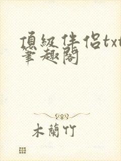 顶级伴侣txt笔趣阁