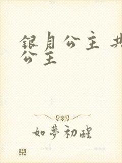 银月公主 共享公主