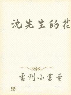 沈先生的花式调