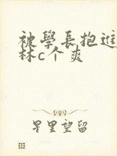 被学长抱进小树林c个爽封面