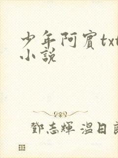 少年阿宾txt小说