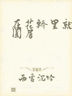 在花轿里就开始圆房