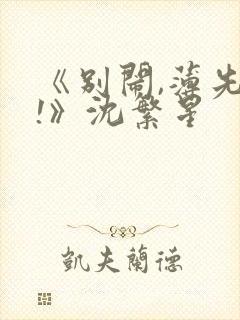 《别闹,薄先生!》沈繁星