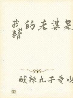 我的老婆是狐狸精