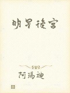 明星后宫