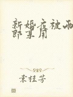 新婚夜被两个伴郎享用