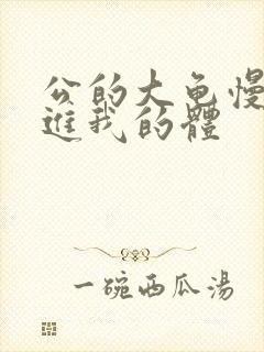 公的大龟慢慢挺进我的体