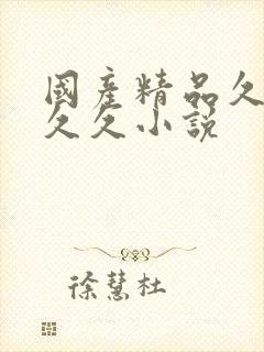 国产精品久久久久久小说