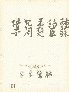 借兄弟的种生孩子周楚臣苏糖