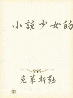 小说少女的心