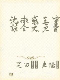 沈微燕王穿越小说全文免费阅读封面