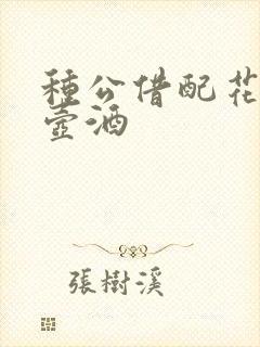 种公借配花间一壶酒