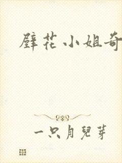 壁花小姐奇遇记