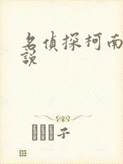 名侦探柯南h小说