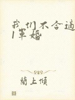 我们不合适1v1军婚