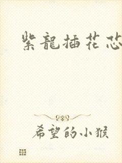 紫龙插花芯方正