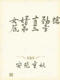 女婿有劲枪枪到底第三章