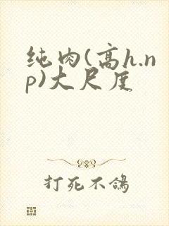 纯肉(高h.np)大尺度
