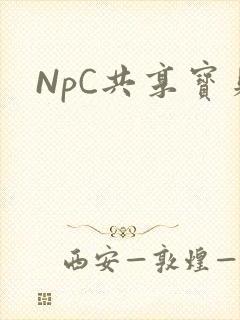 NpC共享宝贝