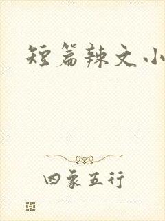 短篇辣文小说