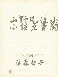 山野风流小神医小说免费阅读