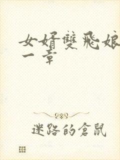 女婿双飞娘俩第一章