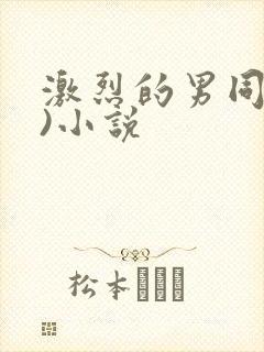 激烈的男同(h)小说