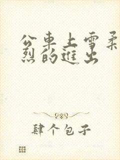 公车上雪柔被猛烈的进出