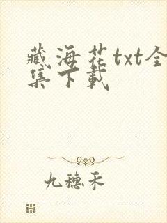 藏海花txt全集下载