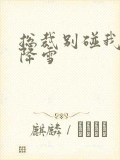 总裁别碰我 韩降雪