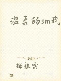 温柔的sm我