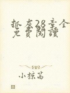 抓灰28章全部免费阅读