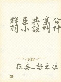 群臣共享公主银羽小说叫什么