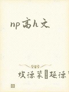 np高h文封面